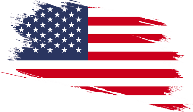 Bandeira dos EUA